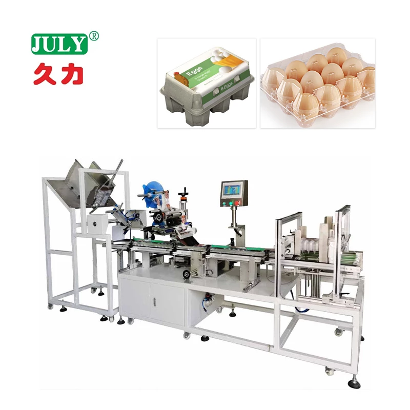 Automatic Egg Box Labeling Machine